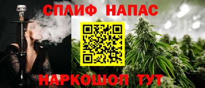 прущие грибы Чебоксары
