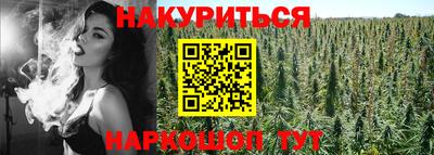 прущие грибы Чебоксары