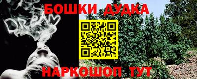 прущие грибы Чебоксары