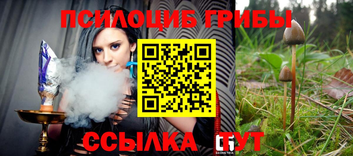 Псилоцибиновые грибы ЛСД Мичуринск