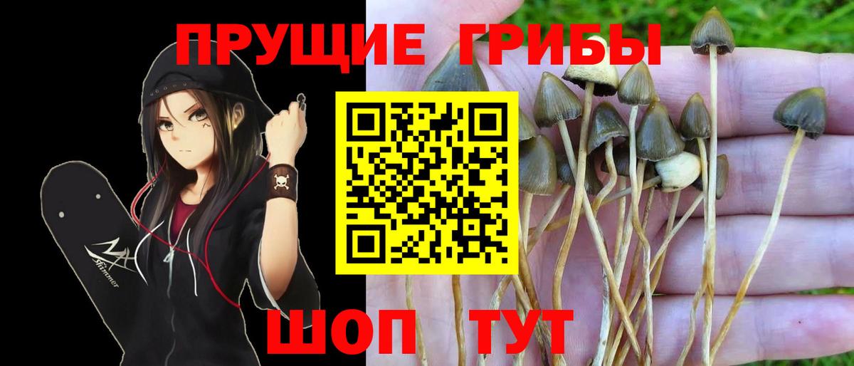 Мичуринск  Галлюциногенные грибы мицелий  Вход с VPN 